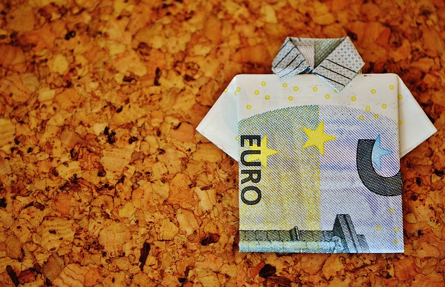 peníze euro.jpg